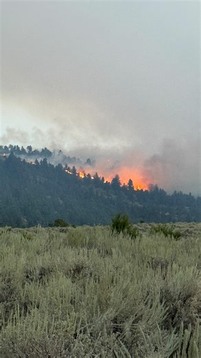This wildfire was the most significant event in Lazy T’s recent history. Until last week, we hadn’t experienced a large fire, and we pray we won’t see another one for a long time. But everything is okay. People are safe, cattle are well. No structures were lost. The grass will grow back healthier. We are so fortunate, and we owe it all to the heroic people who selflessly gave a week of their lives to protect the land we love. Crews are still out in the hills cleaning up hot spots. However, we ca