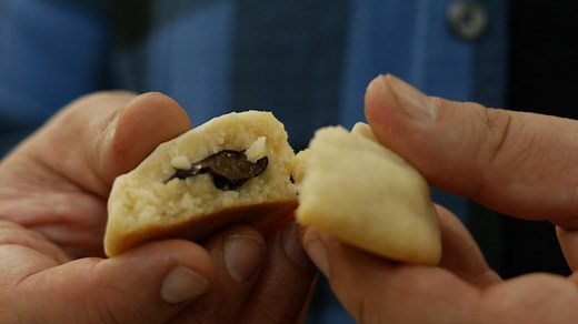 Watch Adam Eats the 80s Season 1 Episode 1 | HISTORY Channel