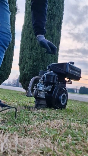 motor intermotor lal 250 - lombardini