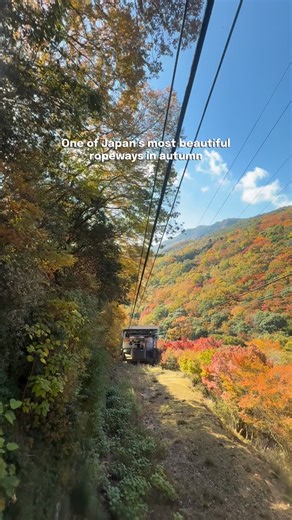 Mari 🇮🇹 • Japan Travel on Instagram: "🍁 One of Japan’s most beautiful ropeways - on Shodoshima Island! If you’re planning to visit, here’s everything you need to know: 🌊 How to get to Shodoshima from Osaka • JR train or bus to Himeji → ferry to Shodoshima (about 2h30–3h total) • OR bus/train to Takamatsu → ferry to Shodoshima 🚠 How to reach the ropeway on the island It depends where you are, there are different ports, but you can take a bus that takes you there! 🚌 Bus service + day pass • 