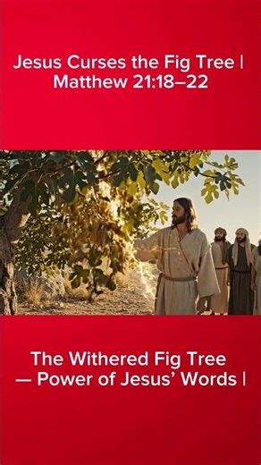 Jesus Curses the Fig Tree | Matthew 21:18–22 #JesusMiracle #BibleStory#faithdome