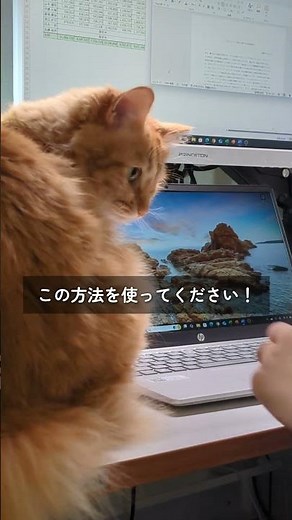 【Word便利術】Enter連打で改行はNG！改ページを挿入する方法 #word #仕事効率化