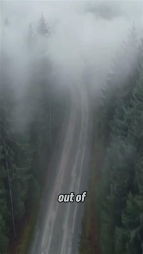 Exit the financial fog 🔓 #manifestation #success