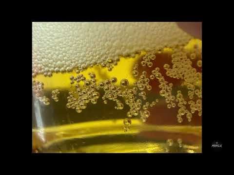 [free] Freestyle Type Beat “gang unit” lil loaded trap Instrumental