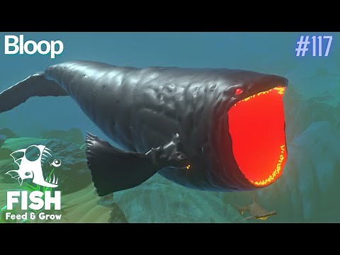Feed And Grow Fish : Bloop
