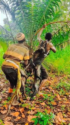 Wawindaji 2 wa Hadzabe | Ustadi wa Upinde na Mishale #Shorts #wildlife #bowhunting #huntingskills