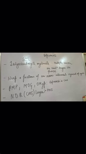 Akanksha on Instagram: "Difference between the myelination in CNS and PNS..#anatomy #education #shorts #study #medlife"