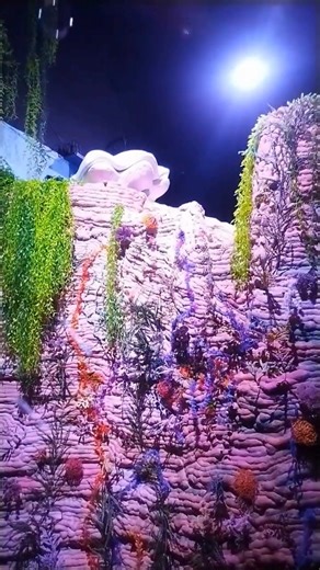 A spy has infiltrated Shimmer Reef, the beautiful city below the waves. The magical trident that protects the city has been stolen and now an explosive is drifting our way. Can you solve the mystery and save the city? | Sure Lock Escapes | Facebook