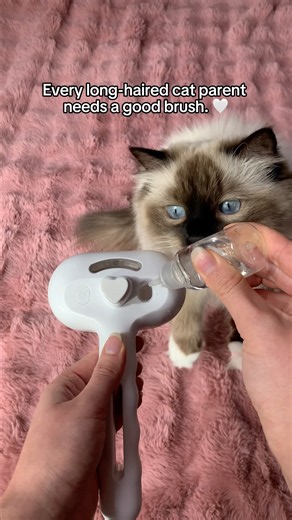 Our favorite grooming tool. 🤍