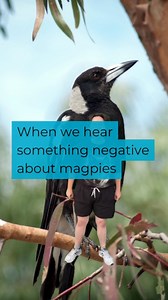 9K views · 57 reactions | We will defend you until the very end. ...