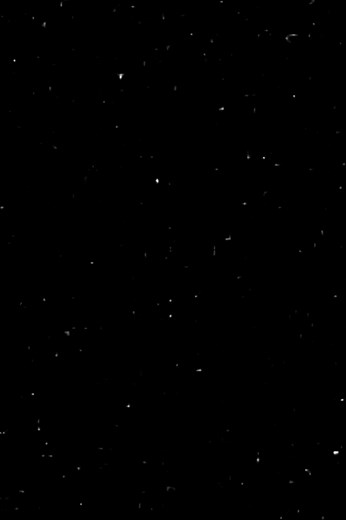 اخافن لاا يجيني المووت عالبال 😔💔 #عباس_عجيد_العامري #عباس #عجيد #العامري #اهل_البيت_عليهم_سلام #ياعلي_مولا_عَلَيہِ_السّلام #4upage #4you #4u