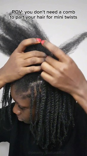NO COMB MINI TWISTS Hairstyle: Easy & Chic Mini Twists Tutorial