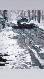 55K views · 777 reactions | Ulmus Rubra on Reels | Facebook