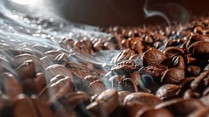 Close Up Of Seeds Of Coffee Fragrant Coffee Stock Footage SBV-338731659 - Storyblocks