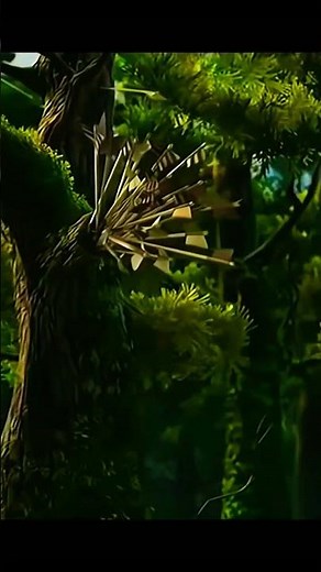 Merida and Angus! - #brave #edit