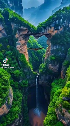 Wasihun Asfaw (@wasihun.asfaw1)’s videos with Wey Gude - Abdu Kiar