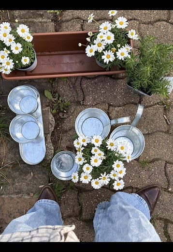 si vous avez quelques conseils je suis preneuse 🌼🥹 ⭐️ vous avez -15% chez @RHINOSHIELDFrance avec le code “VANILLEˮ #RHINOSHIELD collaboration commercial