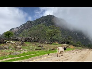 مقورح قطعه من الجنه ..جمال طبيعة ولاية رخيوت..رحلة اليوم ..خريف ظفار ٢٠٢١م..سلطنة عمان..Oman