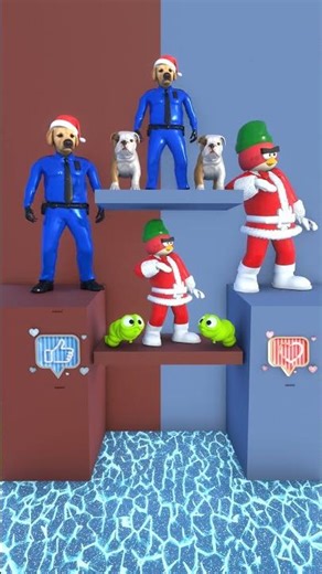 Christmas with your pet #dog #birds #cute #shots