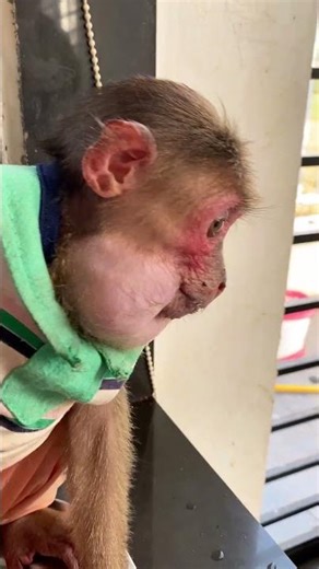 AWWW SO HUNGRY WATER #entertaininganimals #babyanimal #wildlifeentertainment