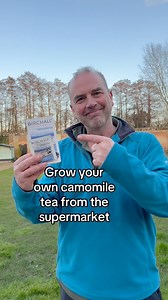 Grow your Groceries! Grow your own camomile tea from a supermarket herbal tea bag. I’m thrilled to announce I’ve got a new gardening book coming out on the 6th March - available to pre-order now! Grow Your Groceries features 40 of my favourite gardening hacks. It shows how you can grow your own food from produce bought at the Supermarket or grocery store!Grow your Groceries, published by @DK, is based on many of the videos I’ve been showing you on my social media accounts. Learn how to grow your