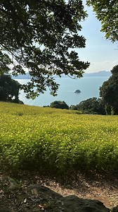 ☀️Day 2☀️ We explored beautiful Nokonoshima Island. This small island, located in Fukuoka Bay, is mainly used for vacation and tourism. Late history tells of a time when this Island was a strategic signaling post for the Sakimori. They would use smoke signals to relay messages to Dazaifu of danger. Today, you can enjoy its vast flower gardens, pottery making, and campgrounds. This little island’s pride is found in being mentioned in Manyoshu Poetry collection. No doubt for its breathtaking views