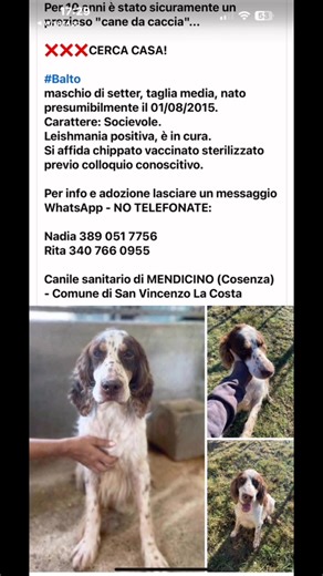 Diana Bertona on Reels