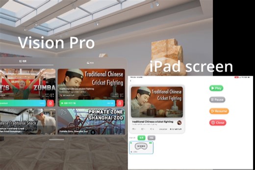 Vision Pro 播控