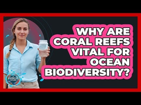 Why Are Coral Reefs Vital For Ocean Biodiversity?