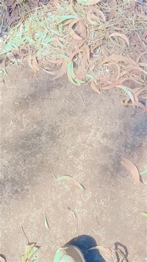 oh jane ja #dance #song