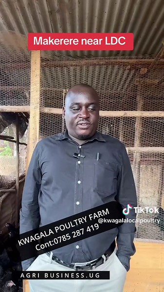 Grow Your Business with Local Chicken Training