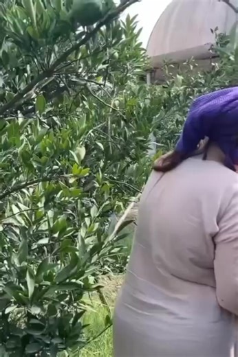 41K views · 1K reactions | #village #cooking #traditional #home #usa | Traditional Cooking | Facebook