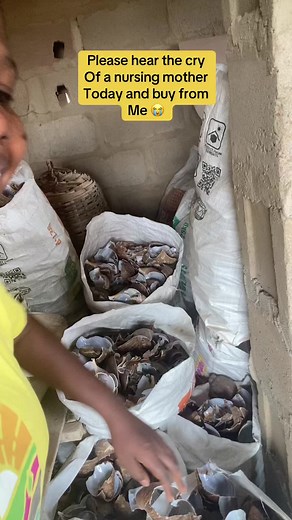 Top Calcium Supplements from Snail Shells