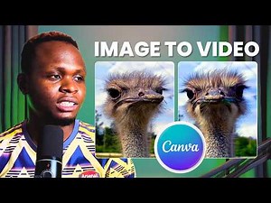 Convert Image to Video with Canva (Step-by-Step)