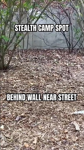 Check Out My STEALTH CAMP Spot - Full Stealth Camp Video Below! #stealthcampingalliance #camping