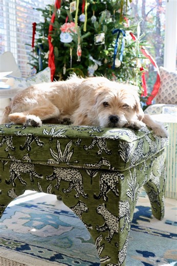 Comment LOVE IT if you want the details sent directly to you 🩵 Want an easy way to update a room and give you a pop of color or texture? Ottomans! They also look great under console tables to add more visual interest. 🩵You can find everything on my Amazon Storefront. Just look for the list named “Ottomans” 🎄 🩵 Amazon Finds, Amazon Deals, Home Decor, Grandmillennial, Grandmillennial Home, Preppy, Preppy Decor | Preppy Goods