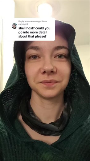 Reply to @somemoss.goblins hi friends! thanks for asking ☺️ #ssmerlyn #systemhost #shell #shellhost #shellalter #DID #OSDD #DIDOSDD #OSDDID #DIDsystem #OSDDsystem #dissociativeidentitydisorder