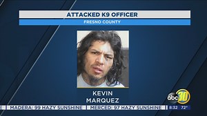 Fresno County Sheriff's Office arrests robbery suspect who also attack K-9 officer