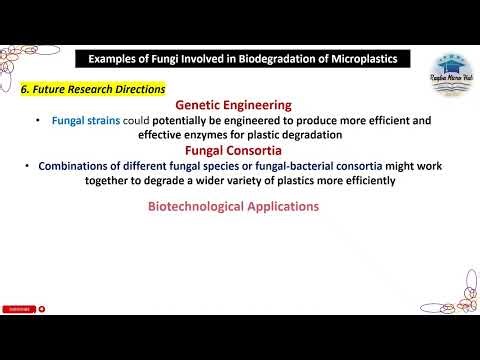Future Research Directions | Biodegradation | Fungi | Microplastics #trending #mycology #laboratory