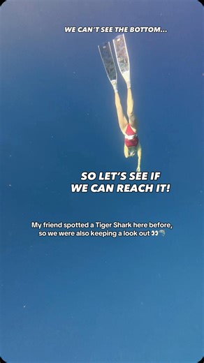 Alyssa Blake on Instagram: "Can you hold your breath through the WHOLE video? 👀🫁🤿 Shallow water blackout is real, so never dive alone! #freediving #ocean #hawaii #sharks #oceanlife"