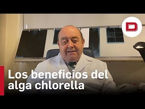 Los beneficios del alga chlorella que debes conocer, con el doctor Abascal