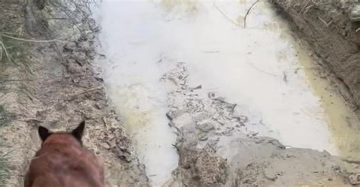 Woman Falls Into a Mud Puddle