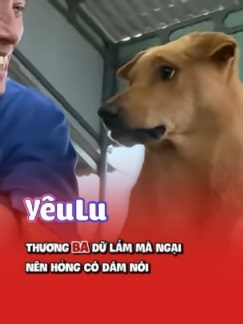 Chó con siêu dễ thương: tiêm ngừa 3 mũi liền