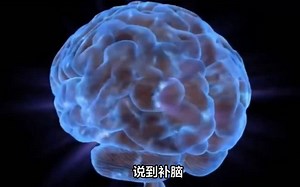 嘤嘤侠植物欧米伽3，补脑效果好，提高记忆力