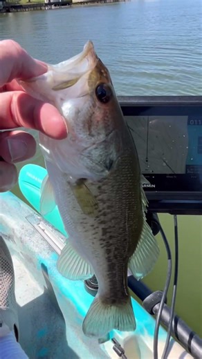 Kayak Bass Fishing Lake LBJ | Boathouses & Garmin ECHOMAP Side Imaging Breakdown 🎣