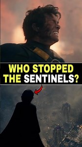 Why Do the Sentinels Need Sentry to Stop Them?