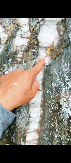 The Exciting Process of Finding Gold