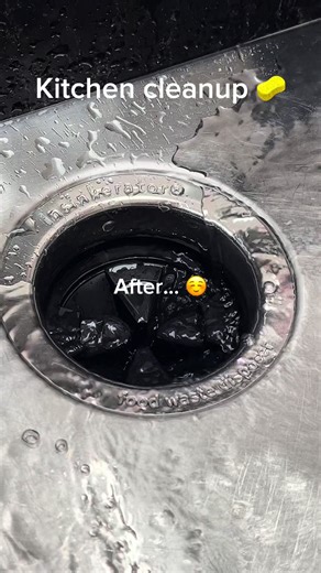 Effortless Kitchen Cleanup with InSinkErator Hack