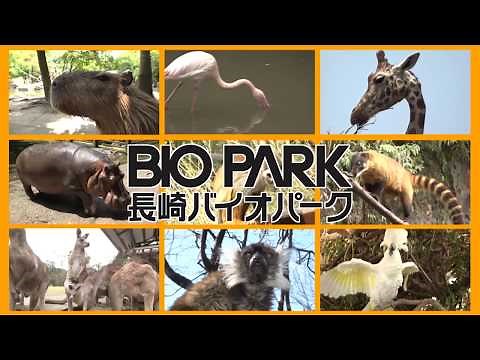 Nagasaki Biopark CM 2019
