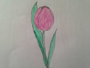 Vẽ hoa tuy líp đơn giản | Hướng dẫn vẽ hoa tulip | Draw simple tulips